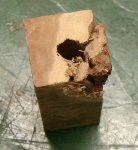 broke burl.jpg