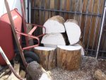 mesquite bowl blanks2.jpg