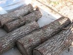 Walnut Logs 5.jpg