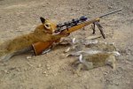 fox hunting.jpg