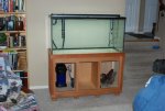 aquarium stand 009.JPG