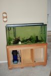 fish tank , pond 002.JPG