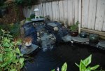 Pond 018 - Copy.JPG