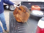 Maple-Burl.jpg