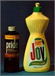 pride_joy (Medium).jpg