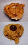 goldfield burl 5.jpg