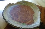 Ambonya Burl Plater 2.jpg