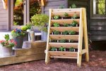 1. wooden shelves to grow herbs.jpg