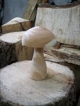 mushroom1.jpg