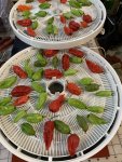 IMG_3702.jpeg IMG_3702.jpeg