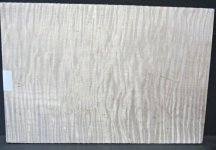 curly maple 1.jpg