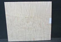 curly maple  3 .jpg