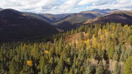DJI_0534-TL - 1024.jpg DJI_0534-TL - 1024.jpg