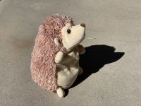 Groundhog Hedgehog 800.jpg