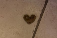 Heart Shaped Poop Cropped.jpg