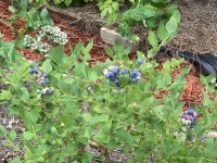 IMG_8828.jpeg