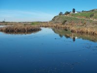 Tujunga Canyon Swamp - 1024.jpg