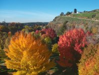 Tujunga Canyon Fall Colors - 1024.jpg