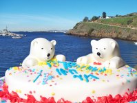 Tujunga Canyon Polar Bear Birthday Cake - 1024.jpg