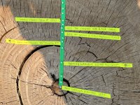 Tree history timeline | Family Woodworking