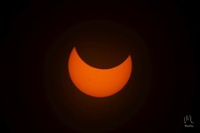 2023-10-14 Eclipse 1024 05.jpg