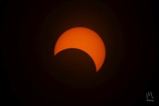 2023-10-14 Eclipse 1024 17.jpg