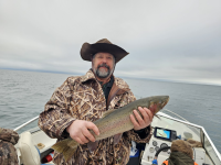 1703293376491.png 1703293376491.png