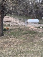 IMG_3320.jpeg