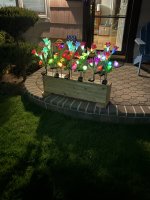 IMG_4277.jpeg
