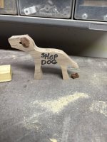 IMG_4329.jpeg