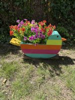 IMG_4331.jpeg