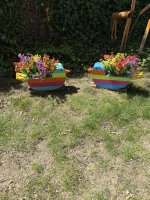 IMG_4330.jpeg