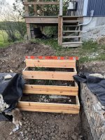 IMG_3928.jpeg IMG_3928.jpeg