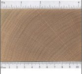 oak-red.JPG