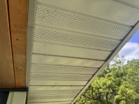 IMG_4292.jpeg IMG_4292.jpeg