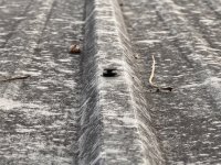 IMG_4769.jpeg