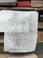 IMG_4806.jpeg