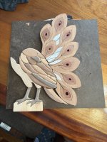 IMG_4809.jpeg