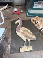 IMG_4817.jpeg