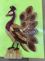 IMG_4822.jpeg