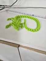20260226_055236.jpg