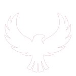 Icon Phoenix.jpg