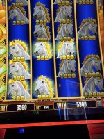 IMG_5142.jpeg
