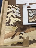 IMG_5197.jpeg