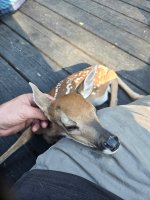 IMG_20260603_174012.jpg