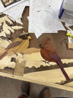 IMG_5205.jpeg