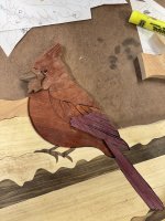 IMG_5204.jpeg