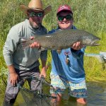 Big Brown Trout.jpg