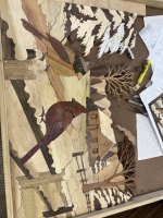 IMG_5226.jpeg