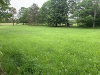 IMG_2603.jpeg